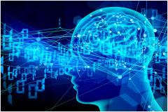 租用美國大帶寬服務(wù)器的注意事項