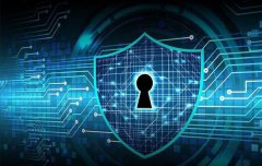 美國(guó)高防服務(wù)器如何解決丟包的情況